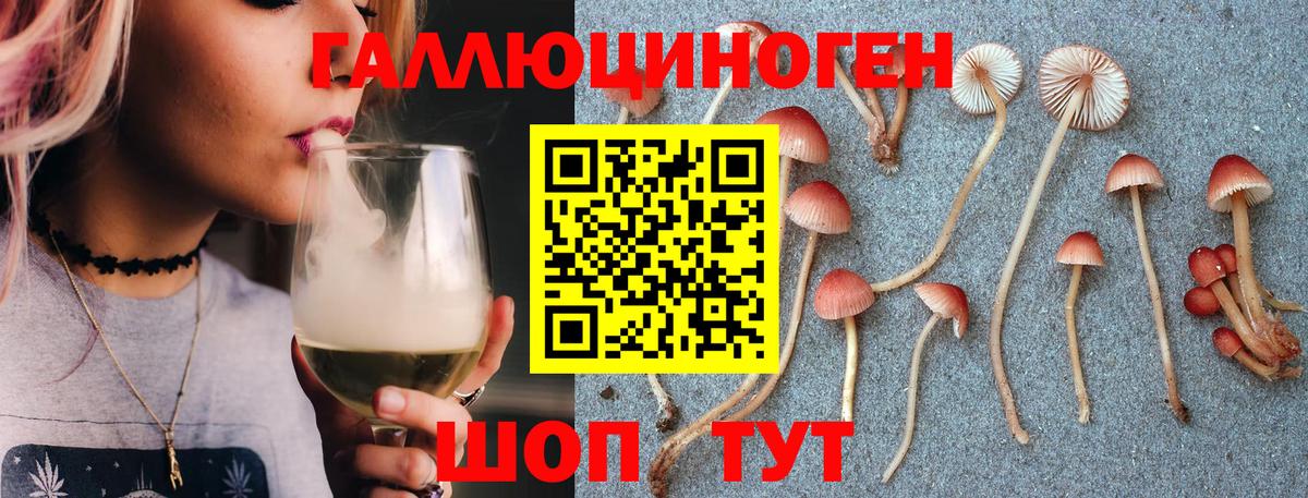Псилоцибиновые грибы Psilocybe Алексин