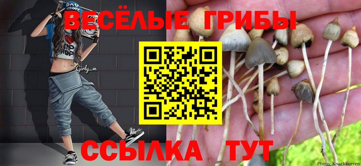 Галлюциногенные грибы Psilocybine cubensis  Псилоцибиновые грибы прущие грибы  Вход с VPN  Алексин 